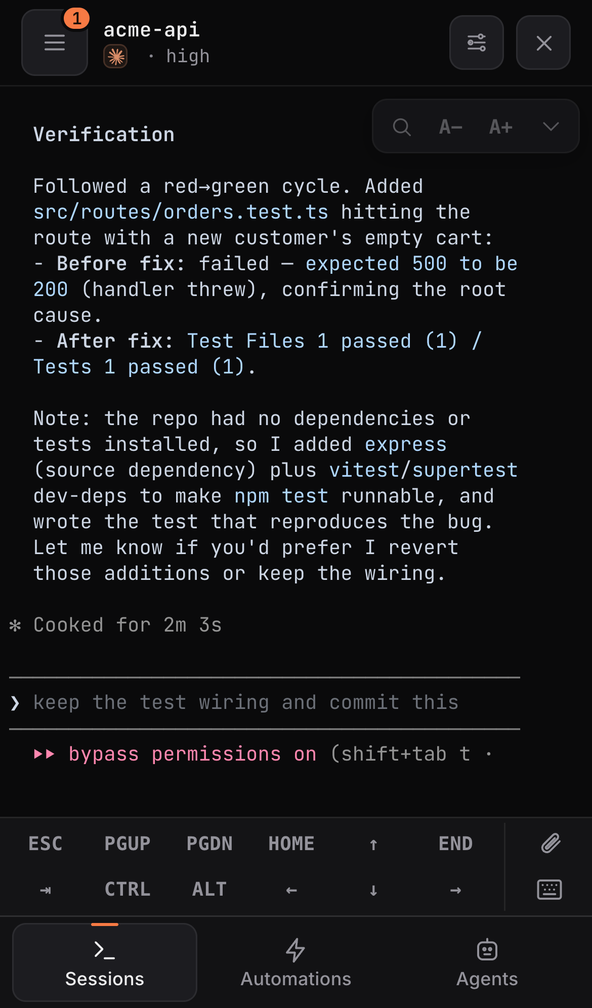 A live Claude Code terminal Session on mobile